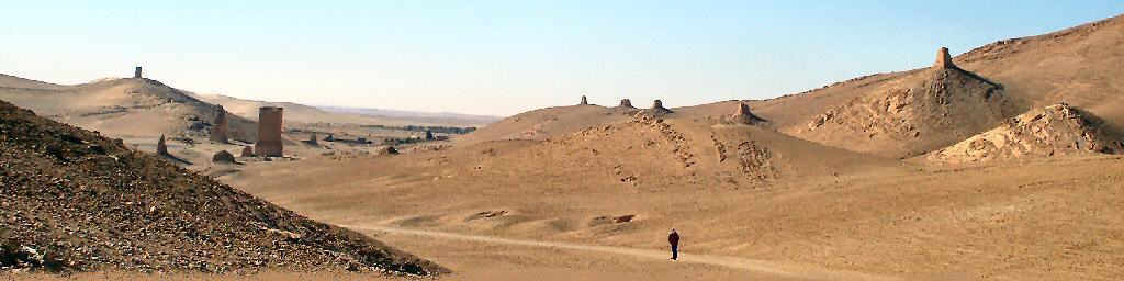 cyberoutlaw in the desert